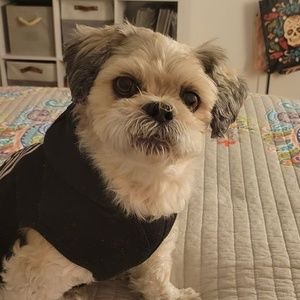 Meet your Posher, Melanie